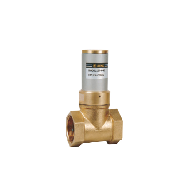 Dik Pistonlu Vanalar