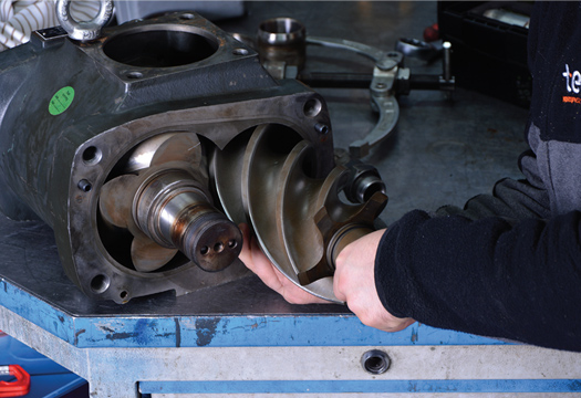 H�zl� ve Dinamik!