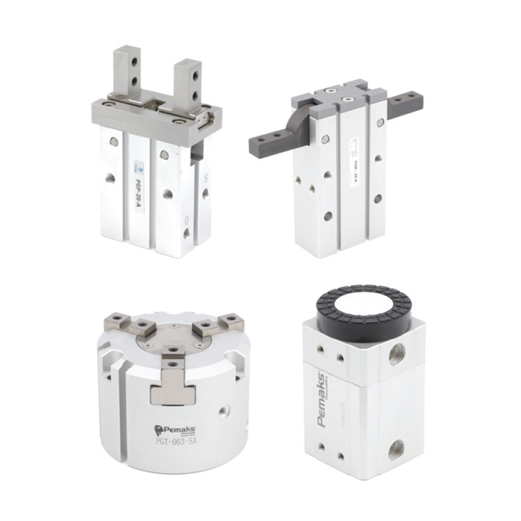 PGP - PGA - PGR - PGT - PGM