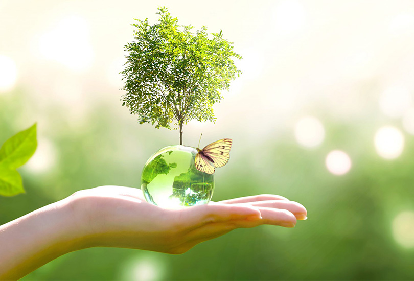 S�RD�R�LEB�L�RL�K